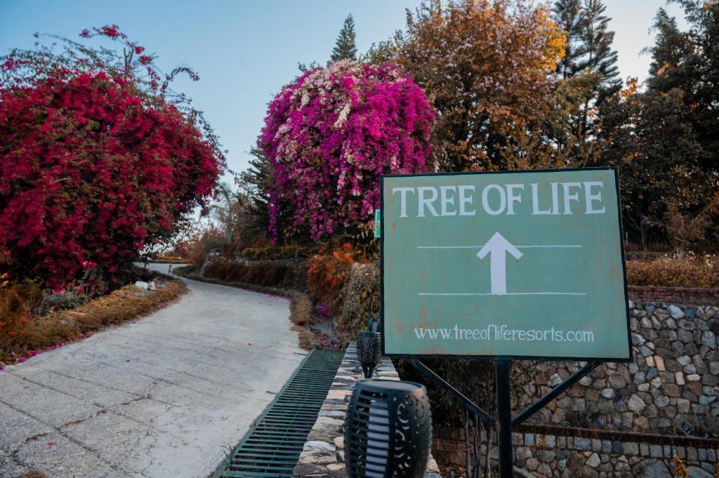 Tree Of Life Resort Dehradun Foothills Exterior photo